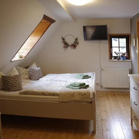 Wirtschaft & Zum Huthaus Guest house Schneeberg (Saxony)