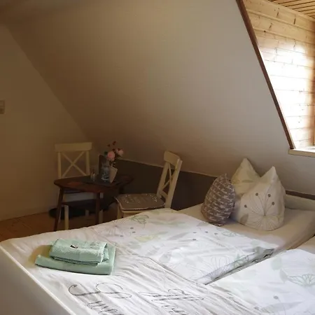 Wirtschaft & Zum Huthaus Guest house Schneeberg (Saxony)