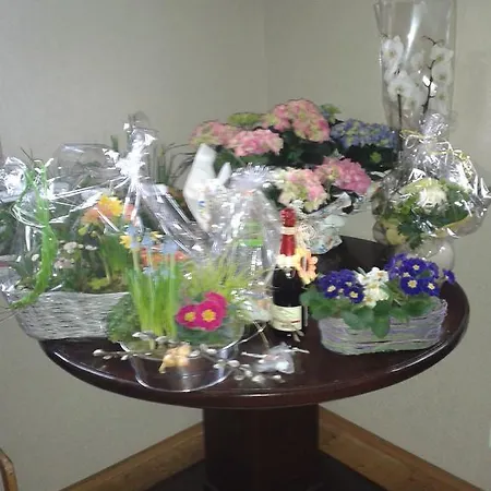 Guest house Wirtschaft & Zum Huthaus Schneeberg (Saxony)